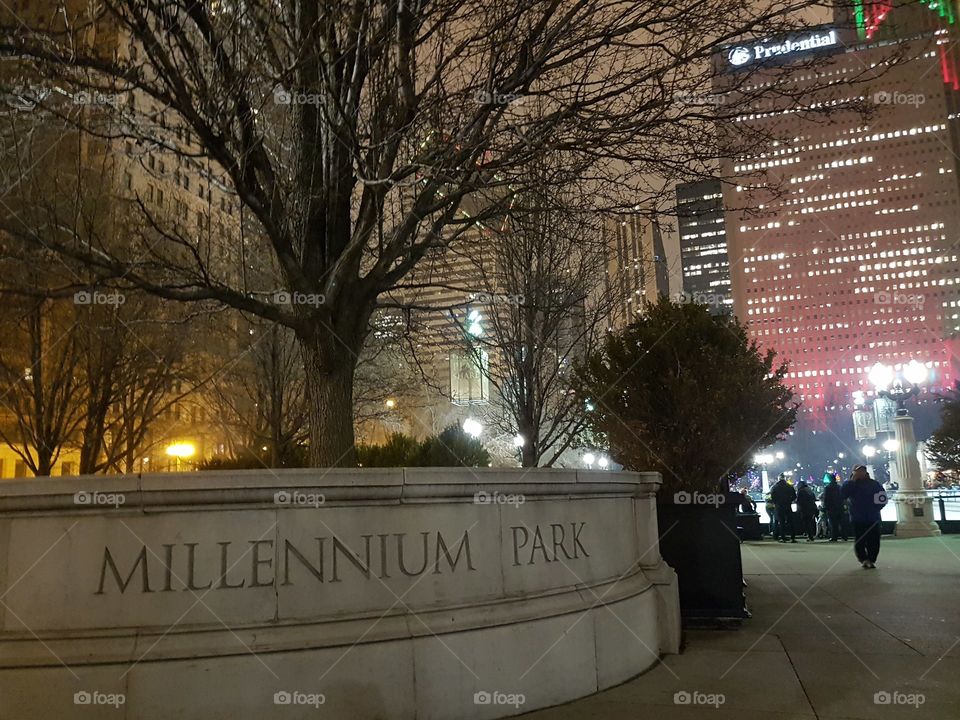 Cold night in the park