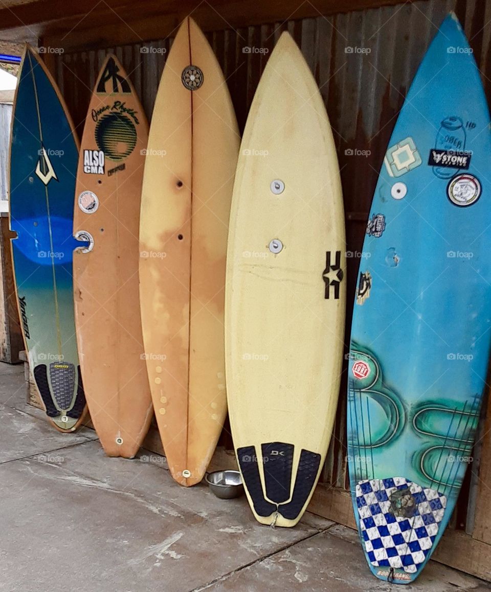 Colorful lined up surfboards 