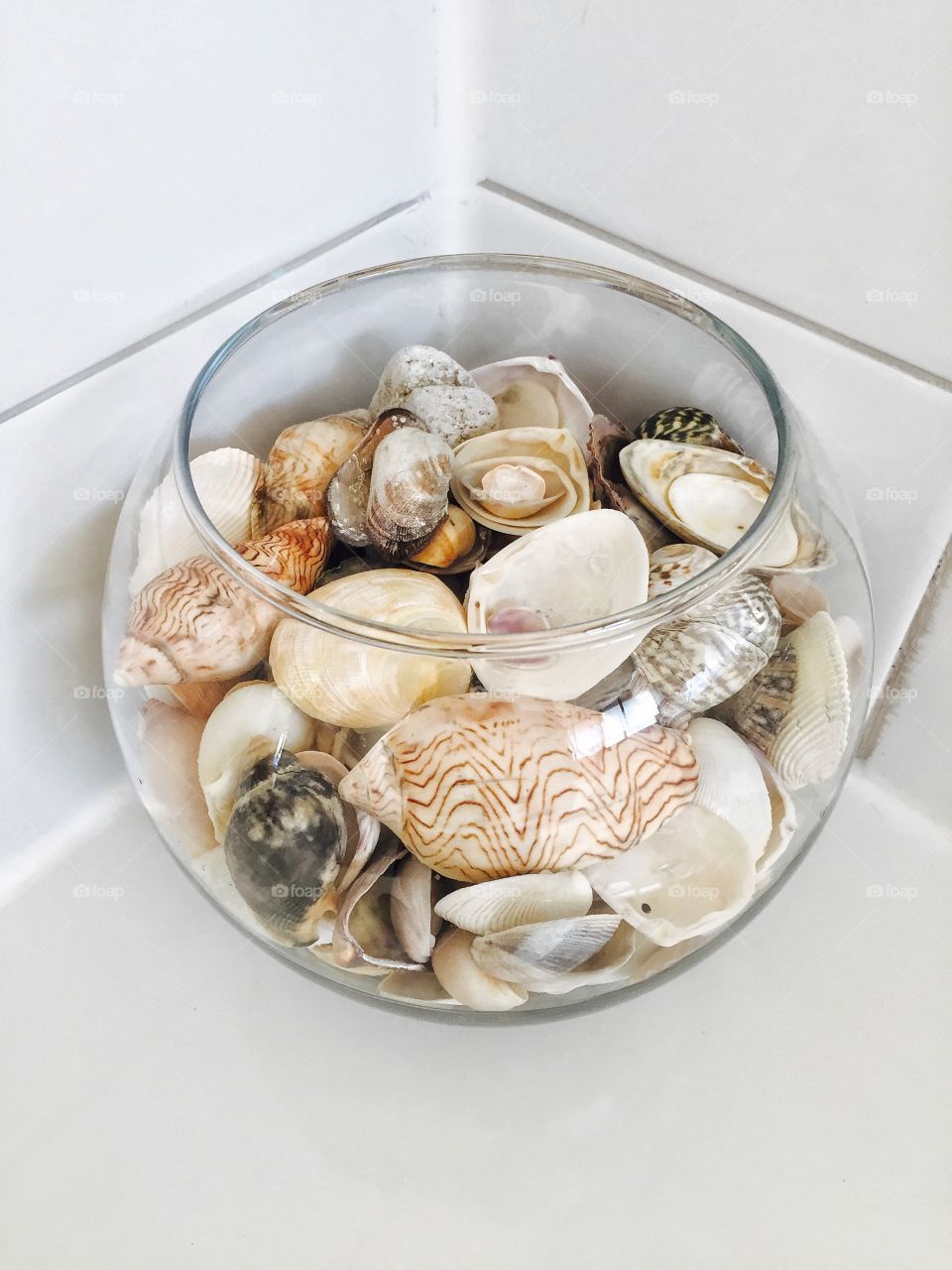 Shells