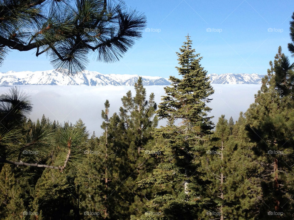 ABOVE THE CLOUDS IN LAKE TAHOE