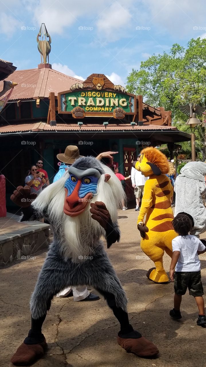 Disney's Animal Kingdom theme Park