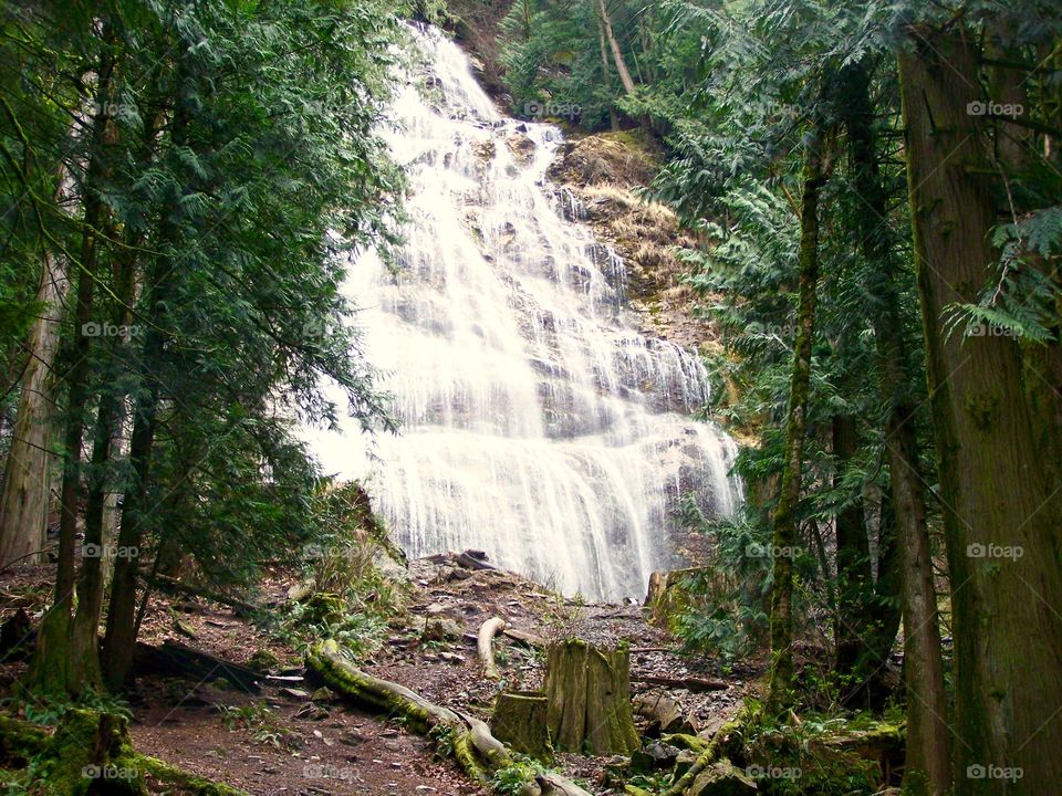 Waterfall in the forest 