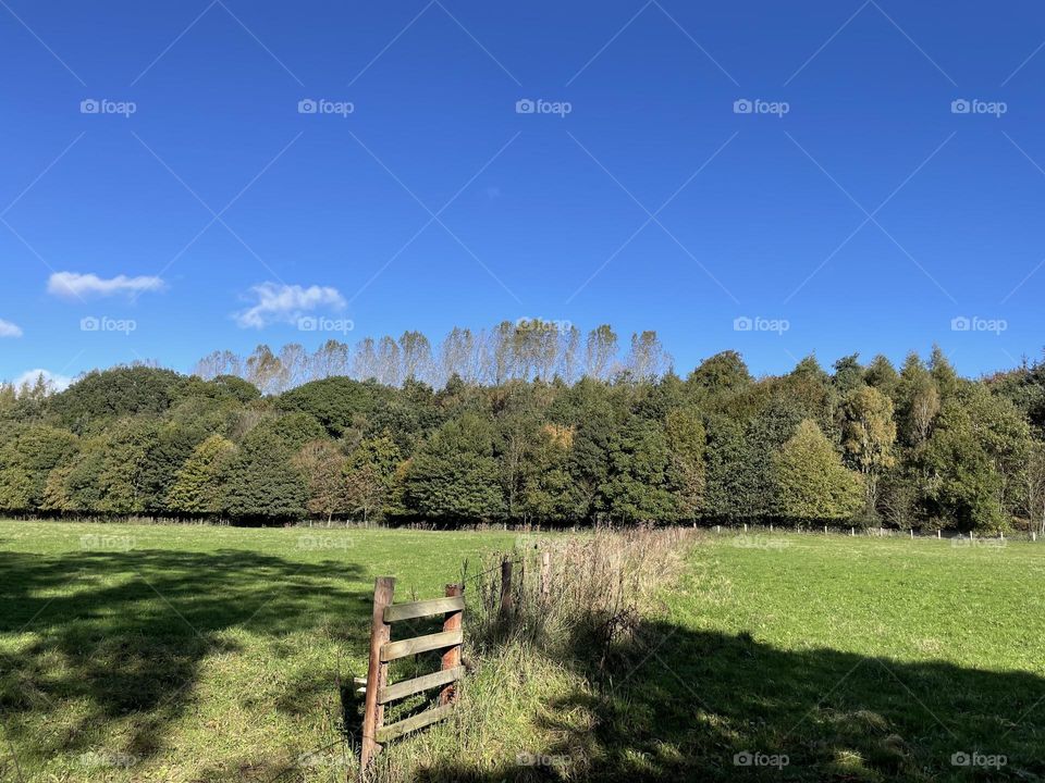 Lovely blue sky day in the countryside … leaves just beginning to fall 