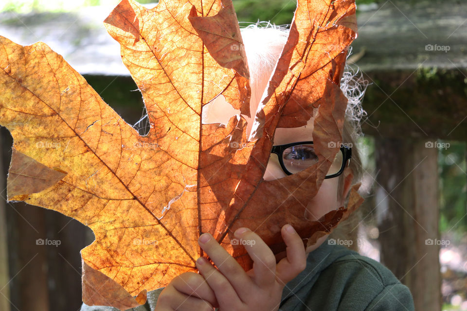 Child holding a large orange leaf in her hand