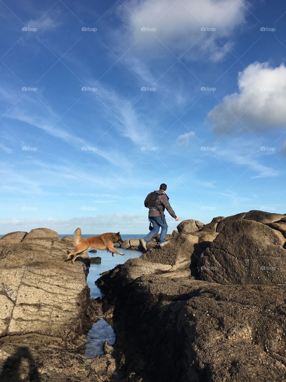 Max the dog, jumping over the rocks with a human friend, Normandy, France