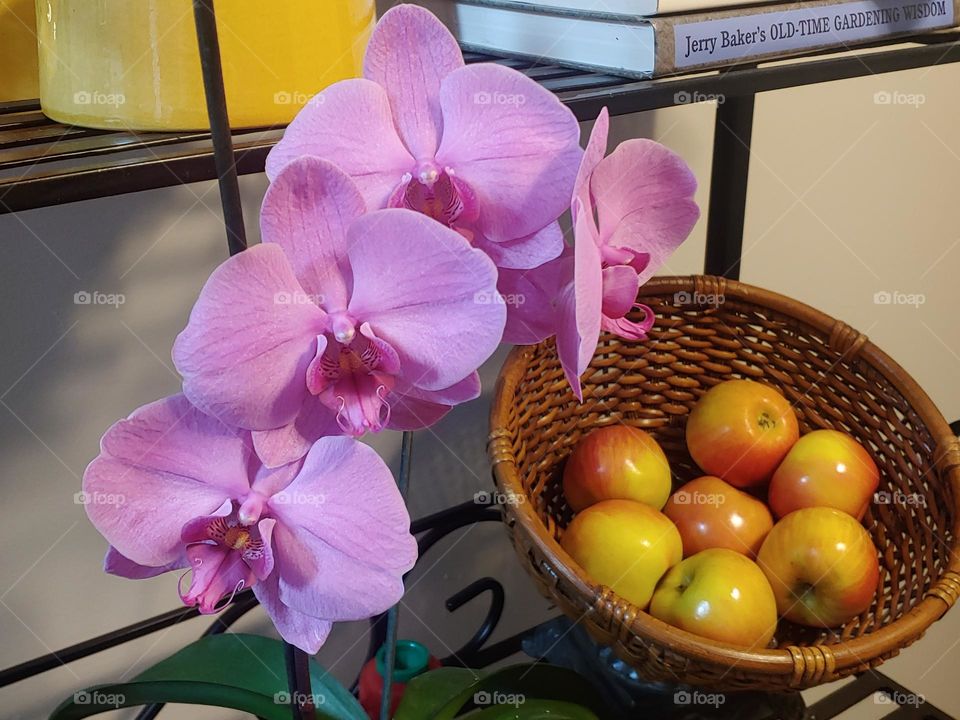 apples and orchids
