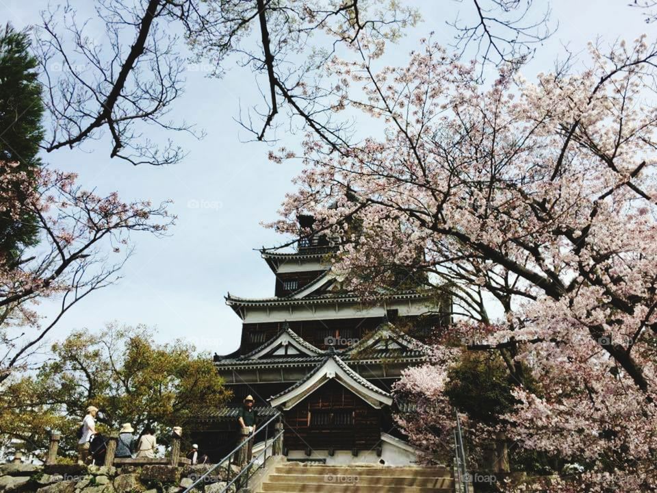 EASTERN STYLE HOUSE.