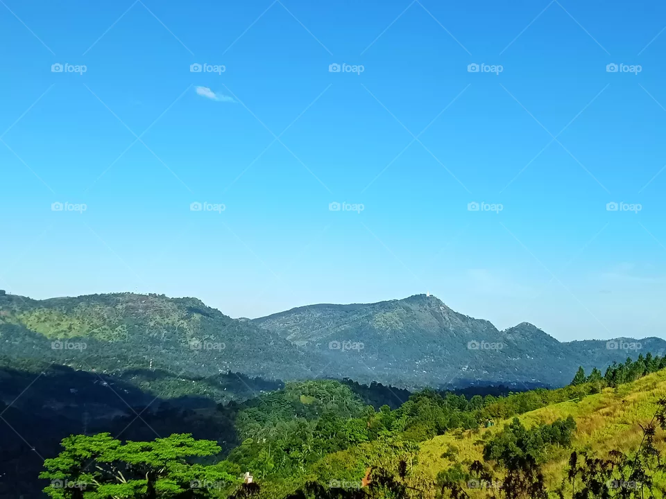 Nature