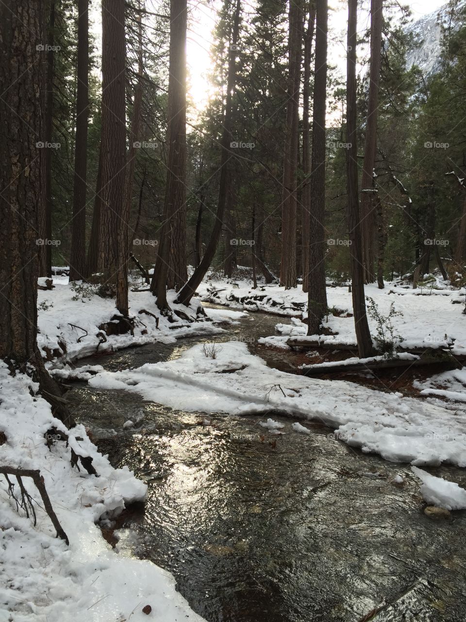 winter stream