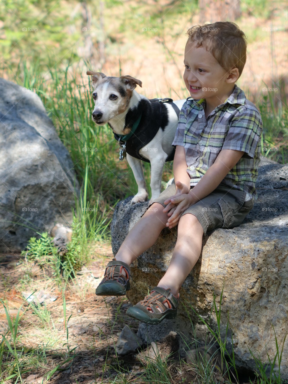 A little boy and his little Jack Russell Terrier sit on a giant boulder in the forests of Central Oregon on a sunny summer day. 