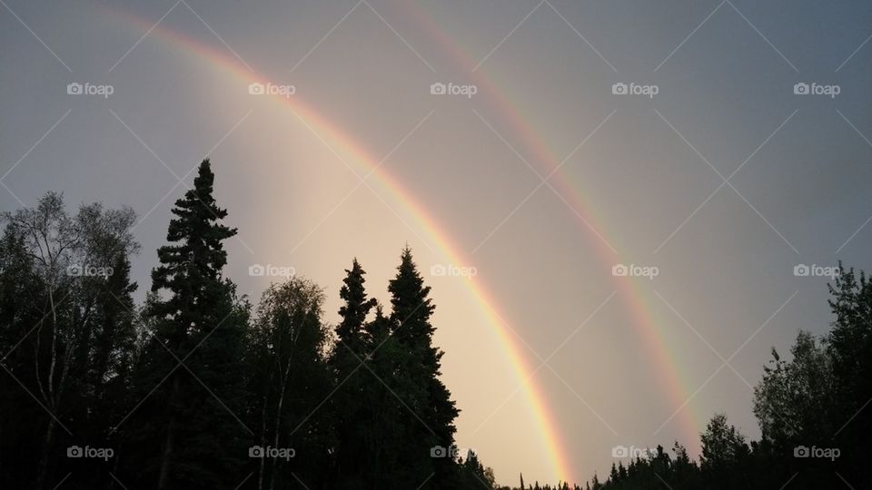 Low angle view of double rainbows