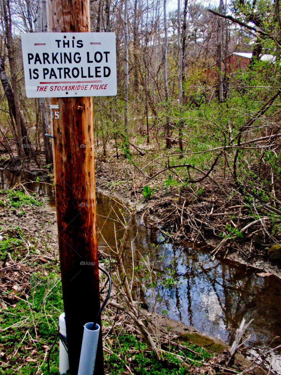 Natures Parking lot