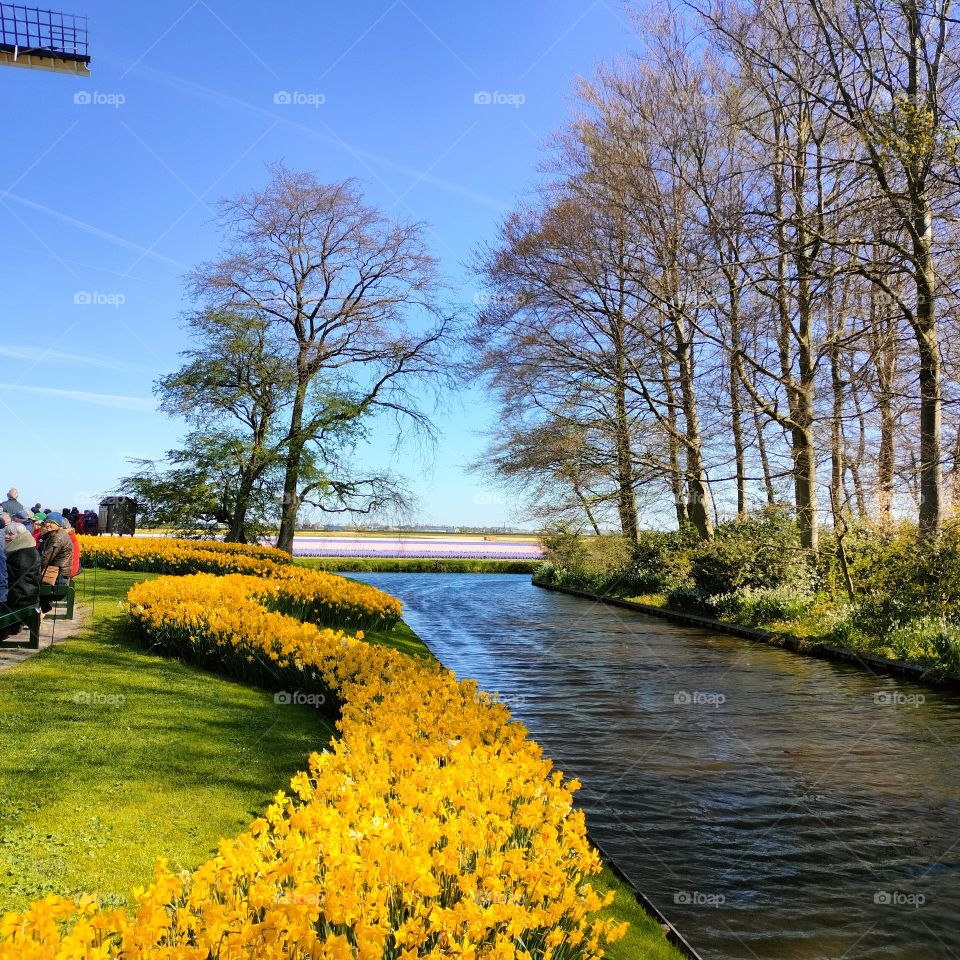 Spring in Keukenhof