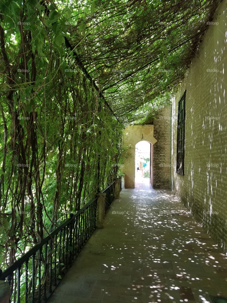 Hidden Passageways in the Real Alcazar gardens