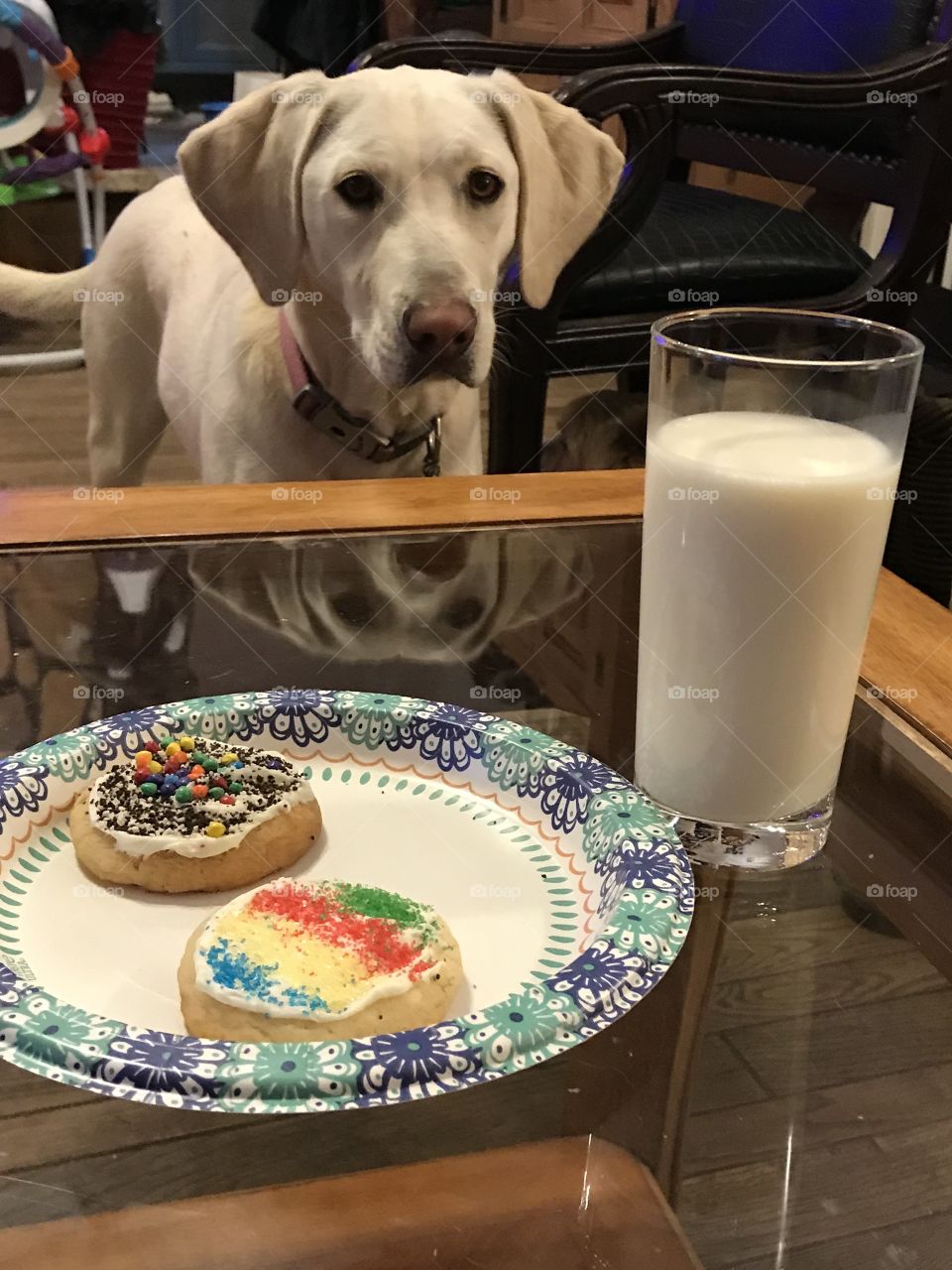 She wants the cookies