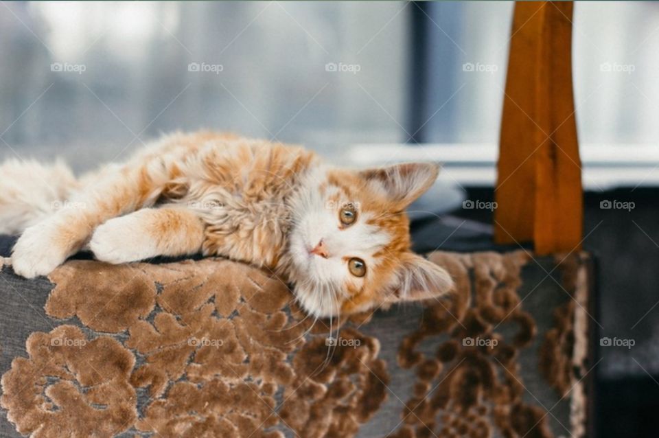 💗💗💗💗💗💗💗💗💗💗💗