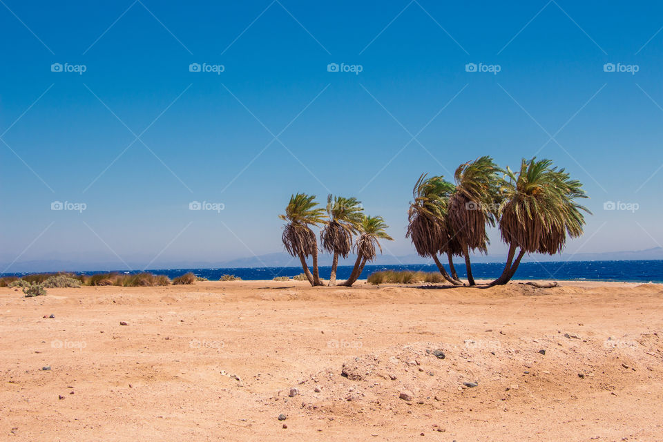 The three pools of Dahab