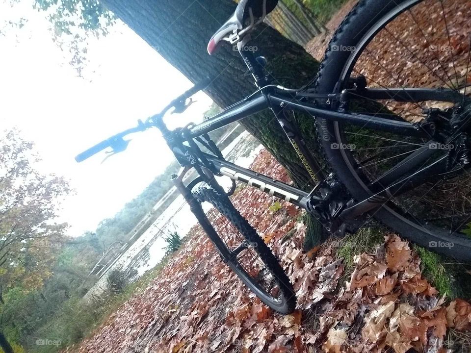 Bike Trip In Forest