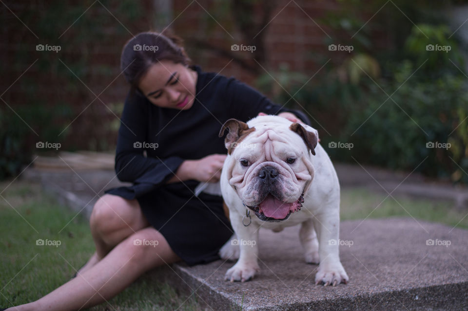 English Bulldog and Woman in the park