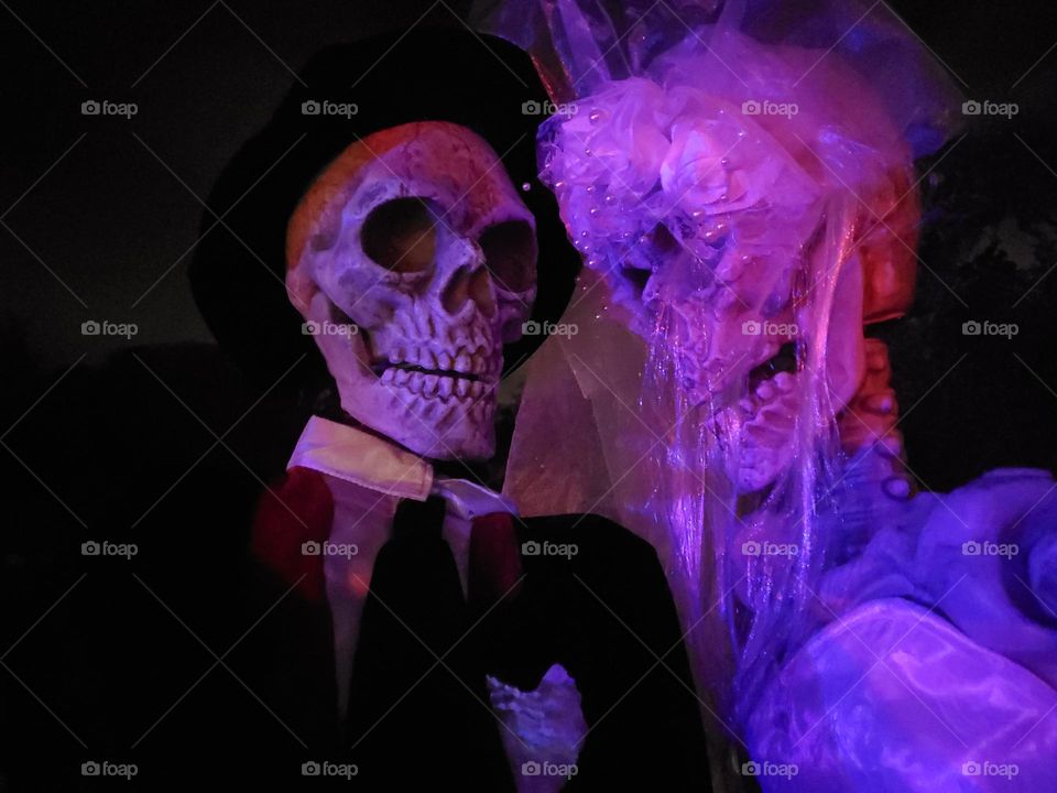 Hallowed bride and groom skeleton deco