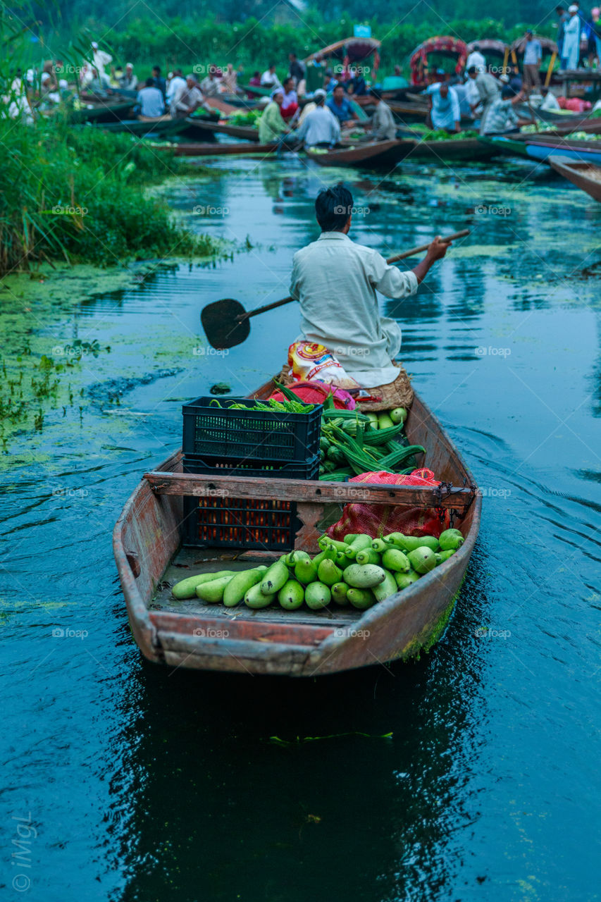 green vegetables from floating market of Srinagar, Jammu and Kashmir, India