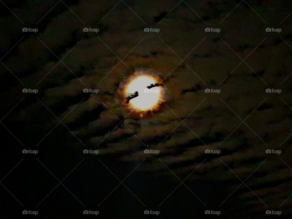 moon