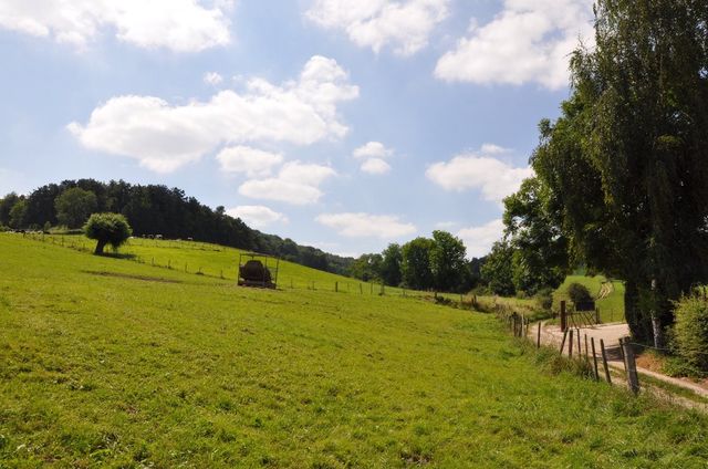 Hill Meadows.