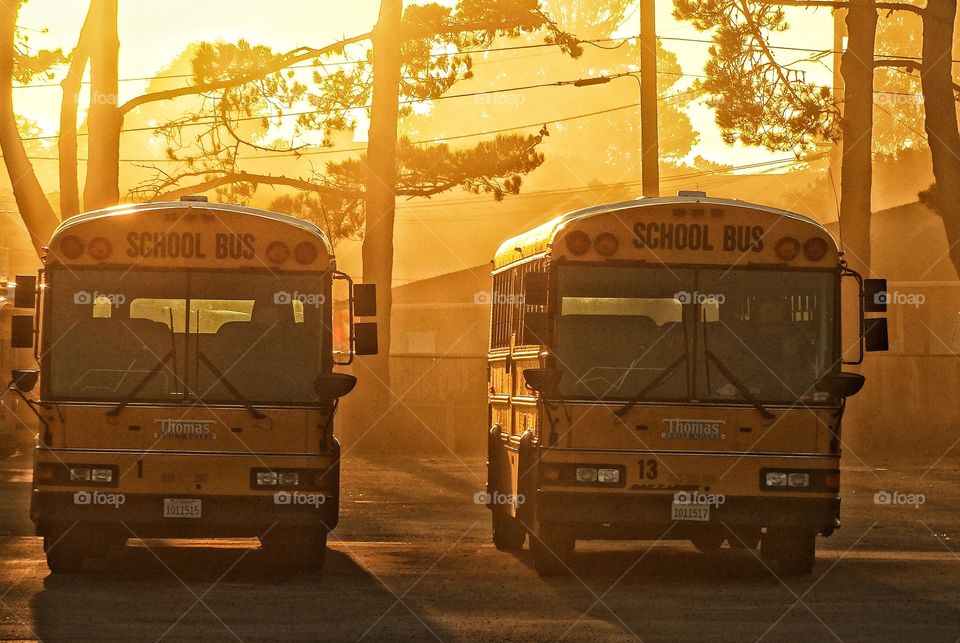 Yellow School Bus