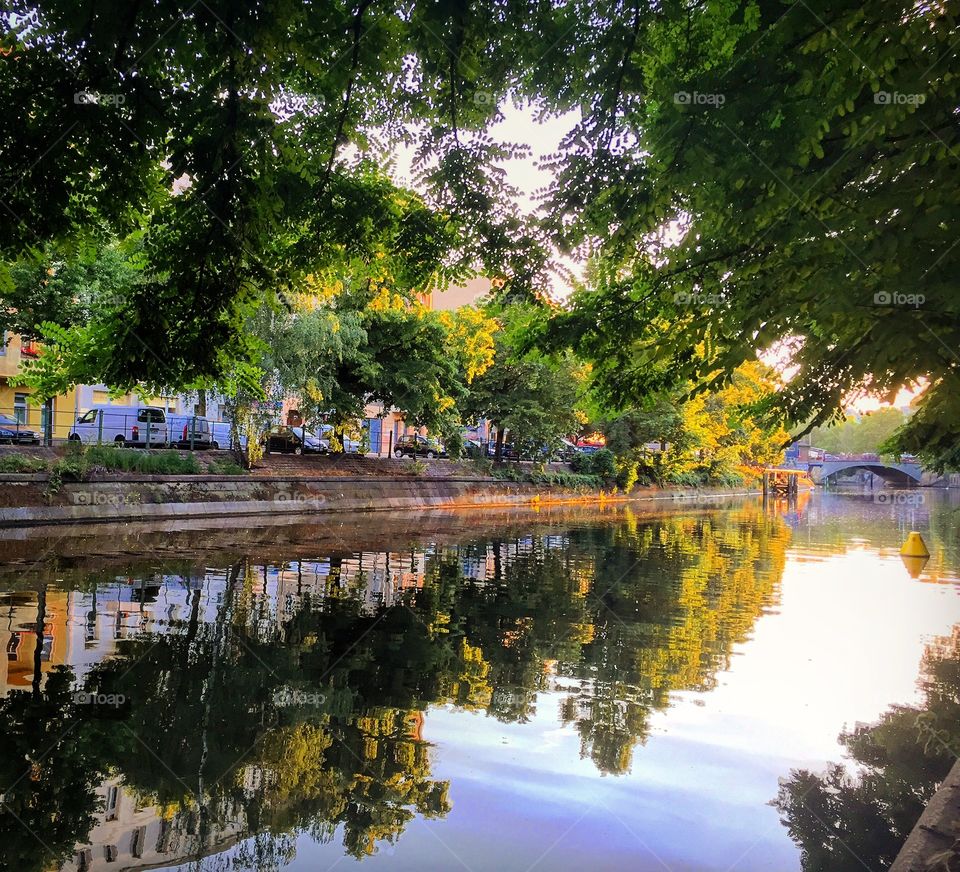 Reflections of the summer