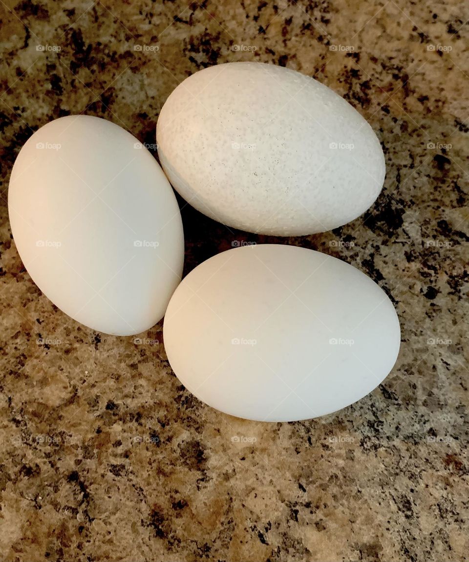 3 eggs