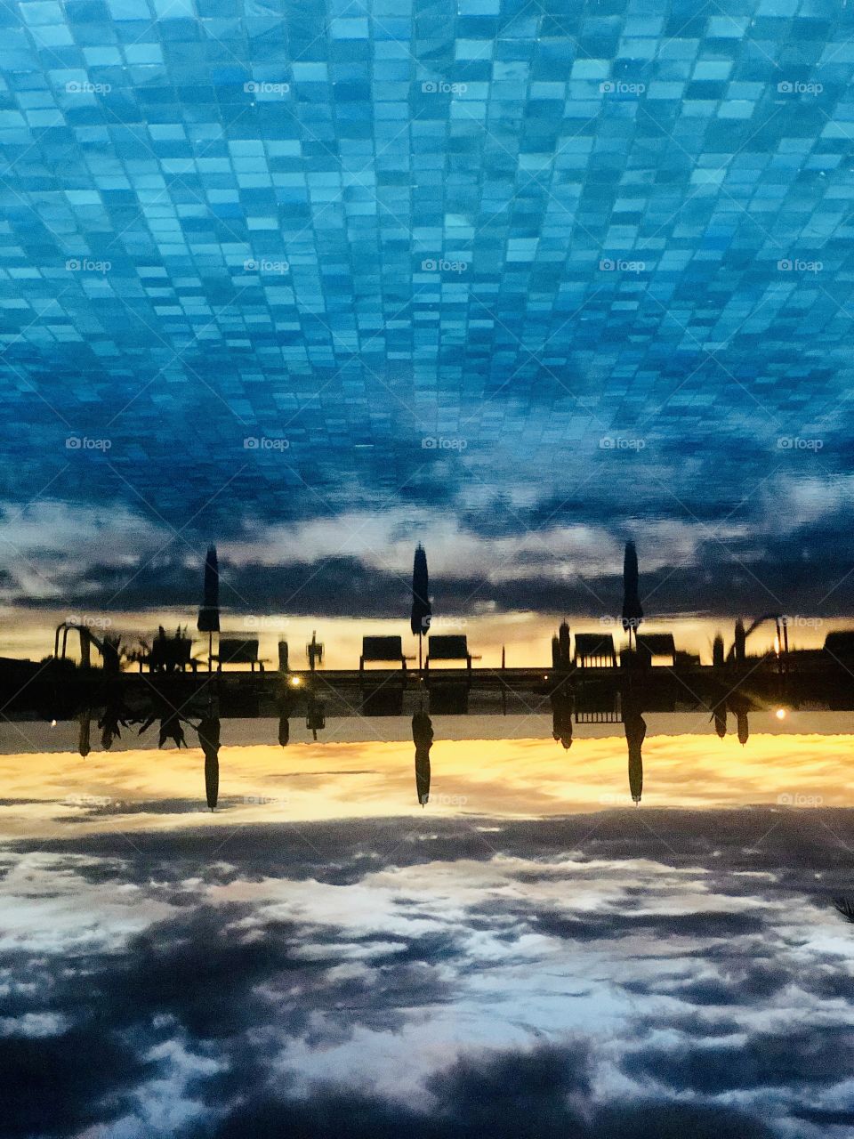 Swimming in the gloaming 