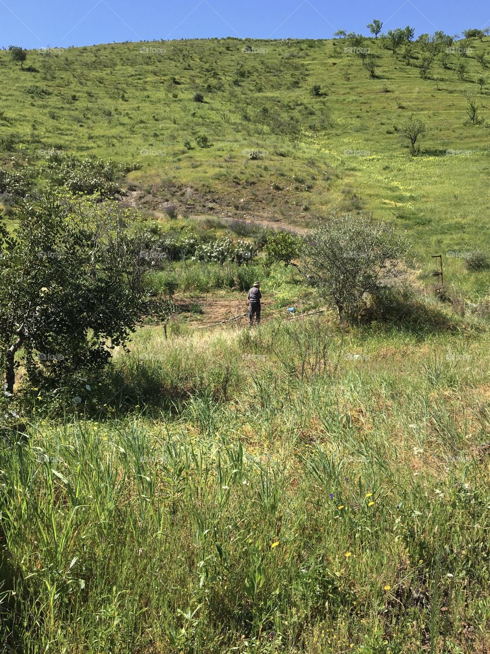 Alone man in his fields