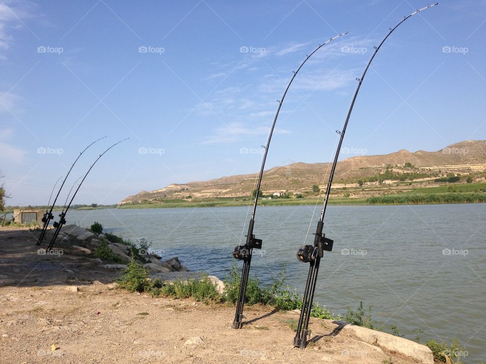Ebro fishing