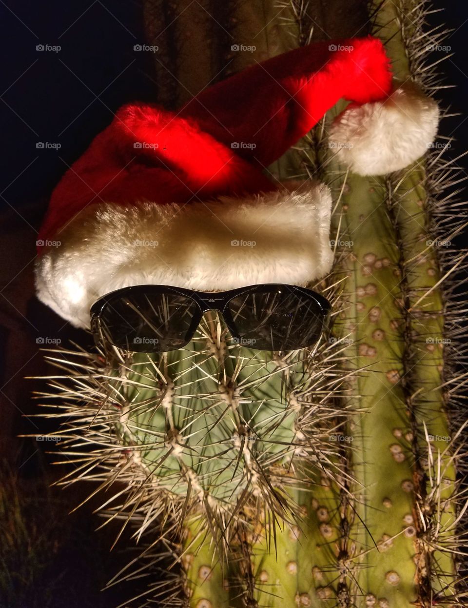 Prickly claus