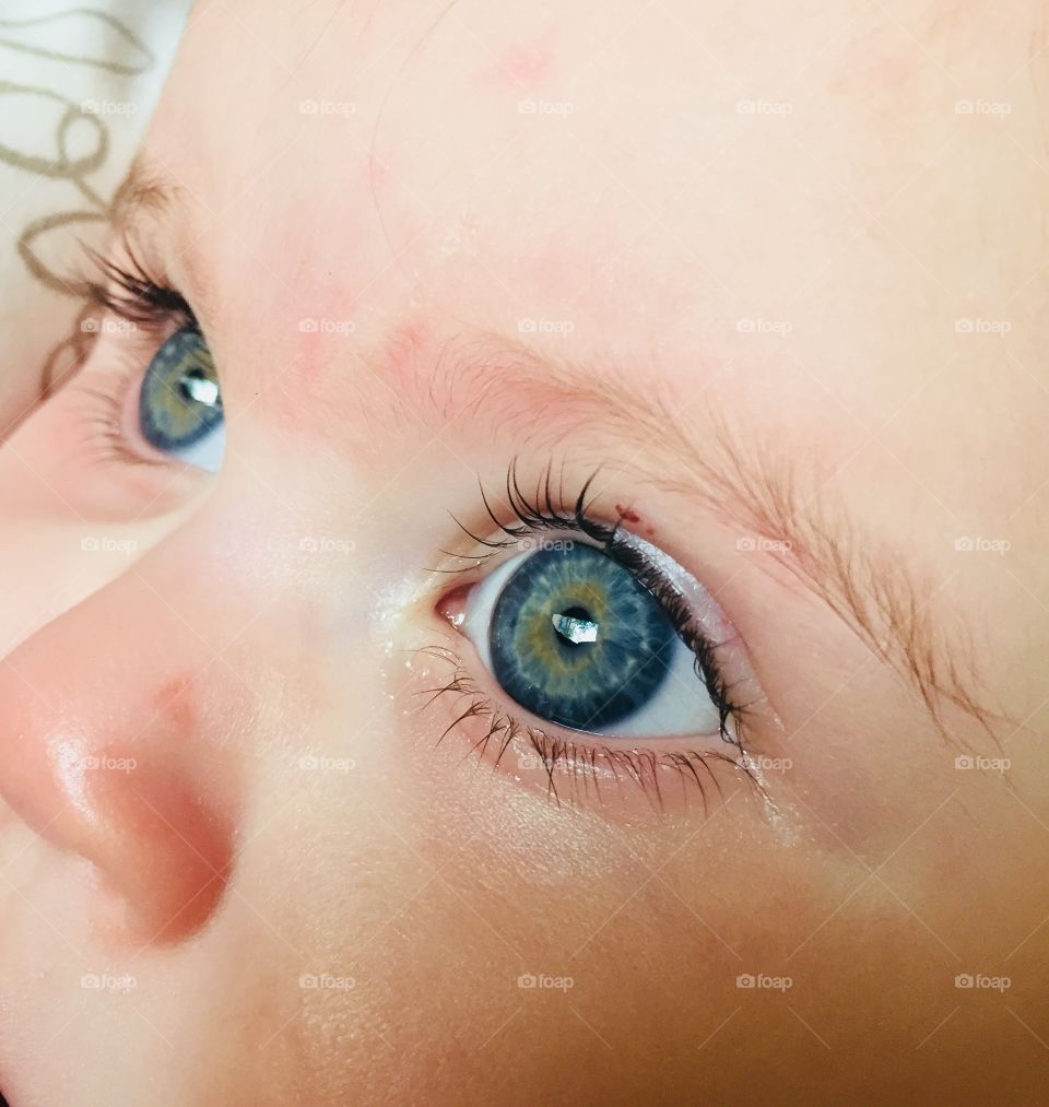 Baby’s Blue eyes