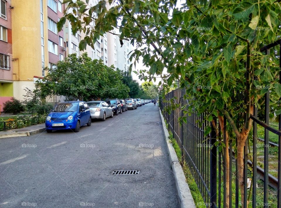 Road, No Person, Street, Outdoors, Pavement