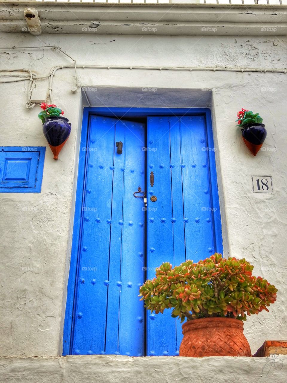 Blue door 18