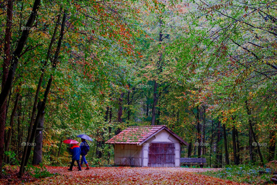 Black Forest Germany