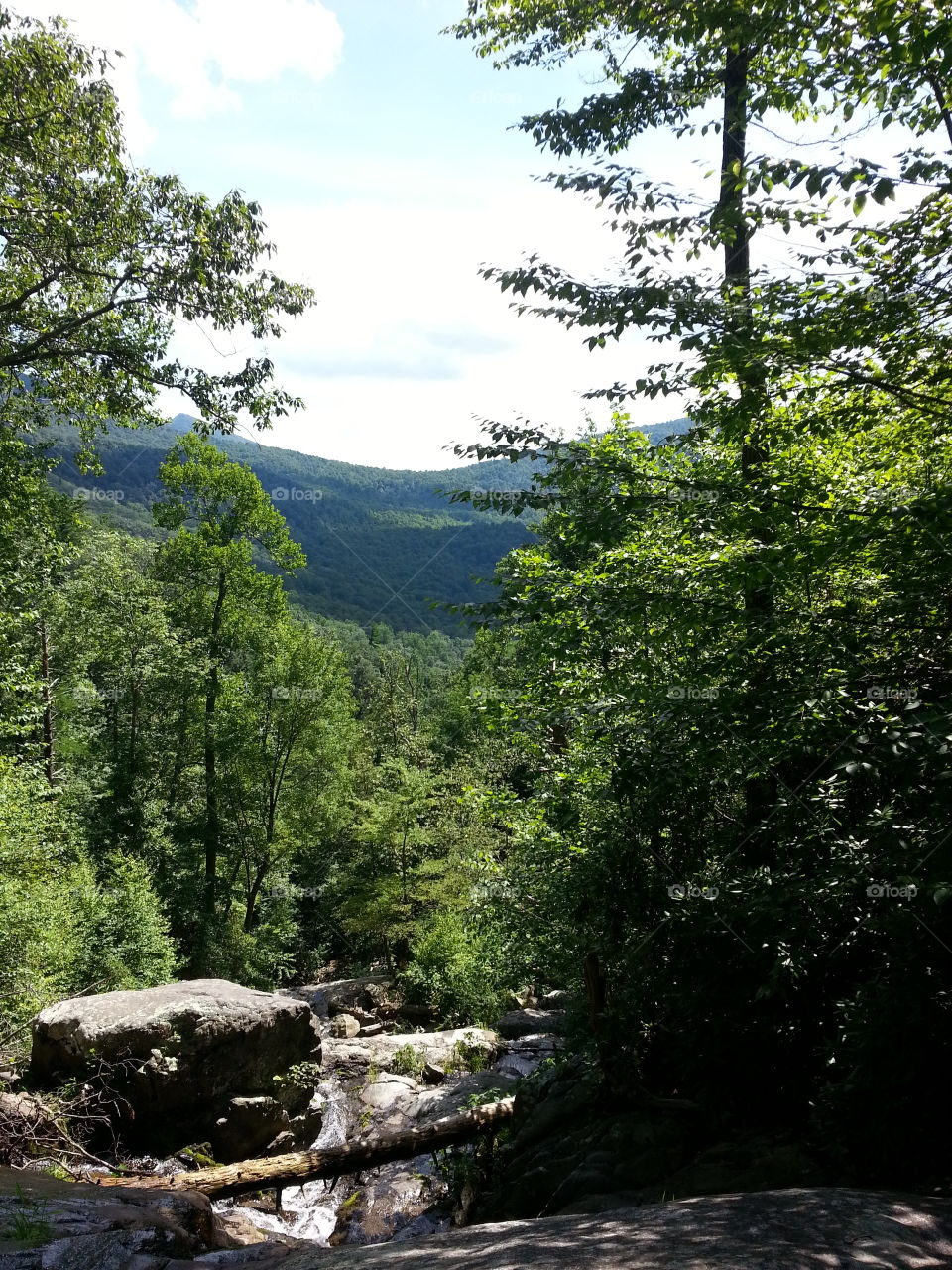 View from top of Falling Waters