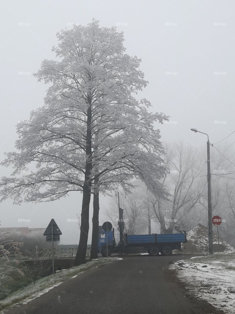 truck on the winter side road