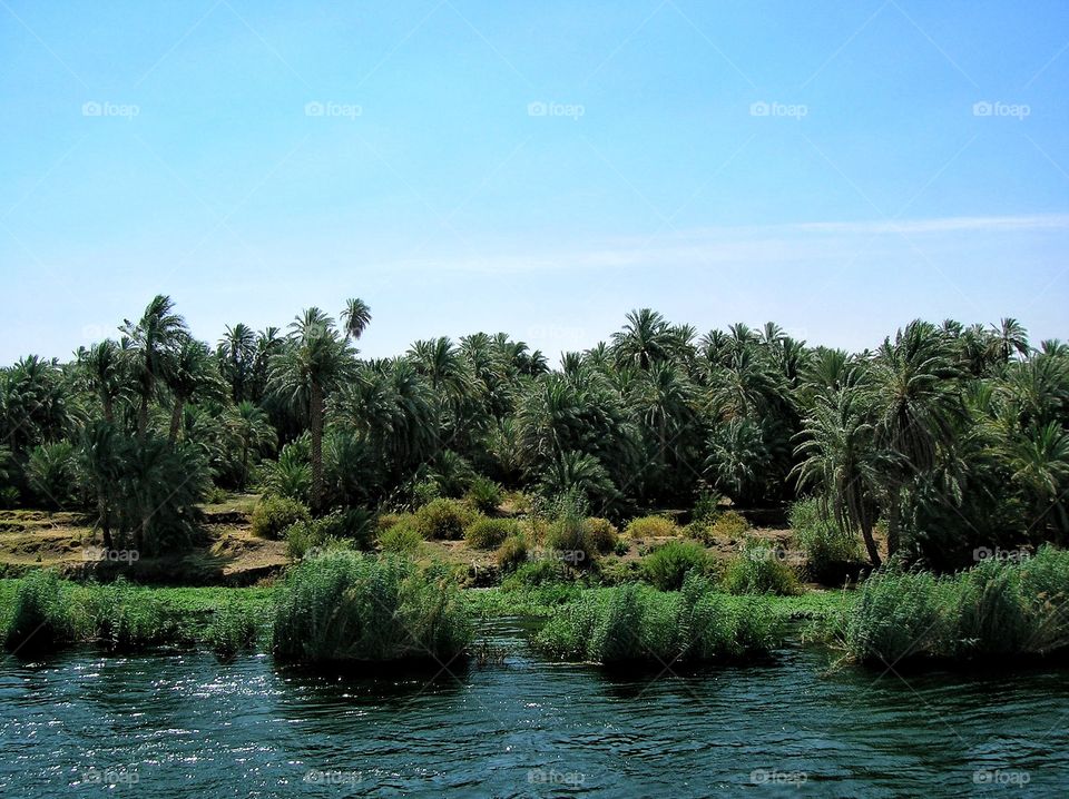 Going with the flow on the Nile