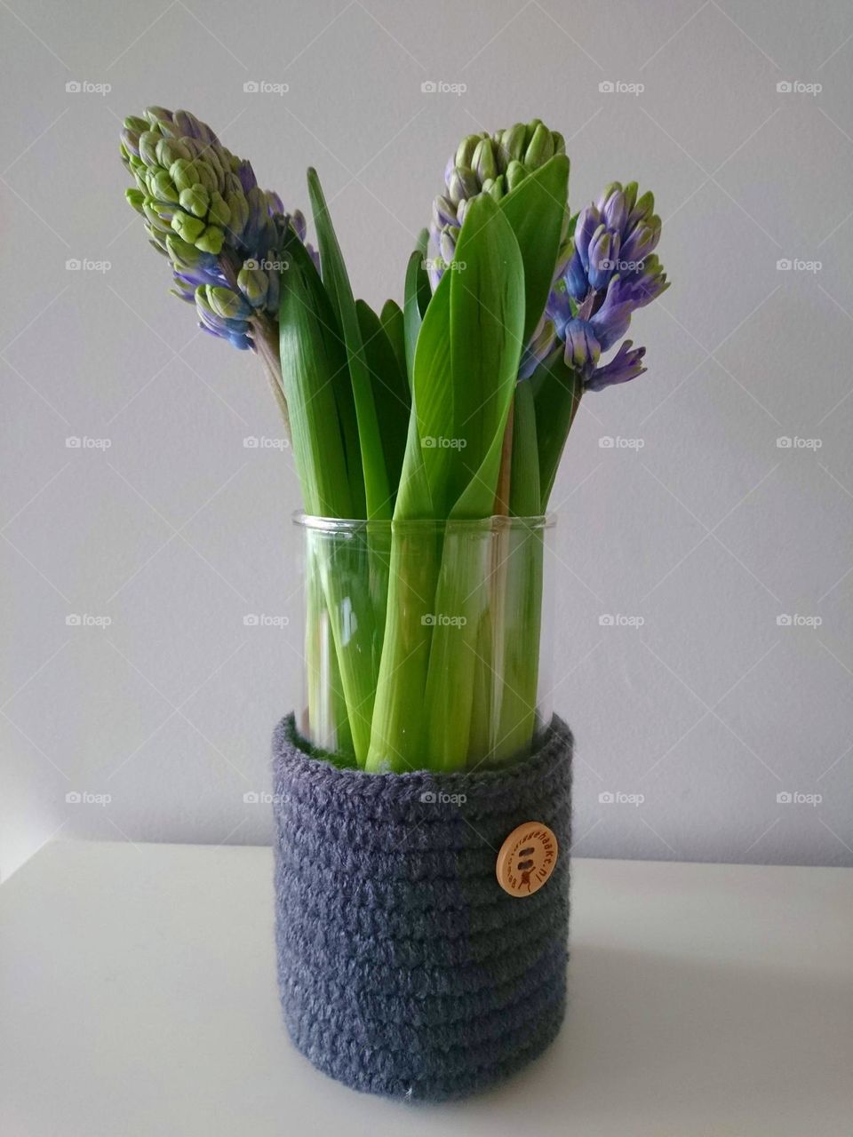 Hyacints in a vase