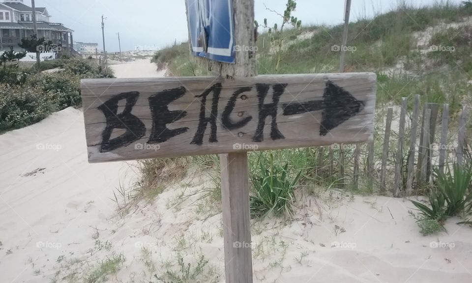 "THIS way to the beach!"  
Corolla Beach in North Carolina's Outer Banks