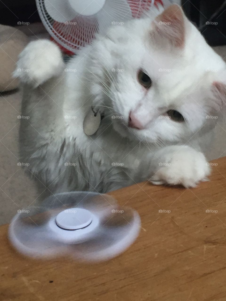 Merlin vs fidget spinner 