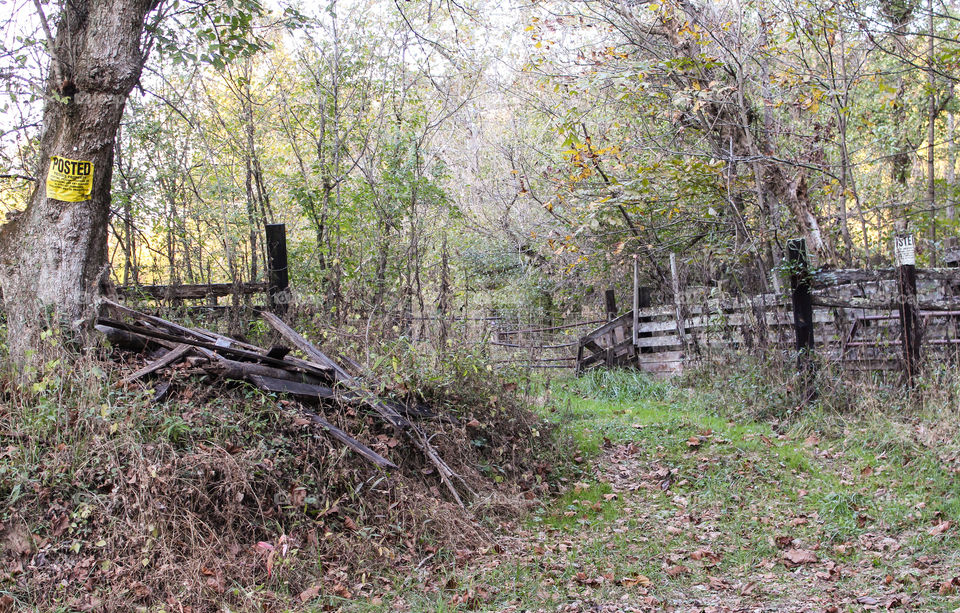Rural farm gate and fence