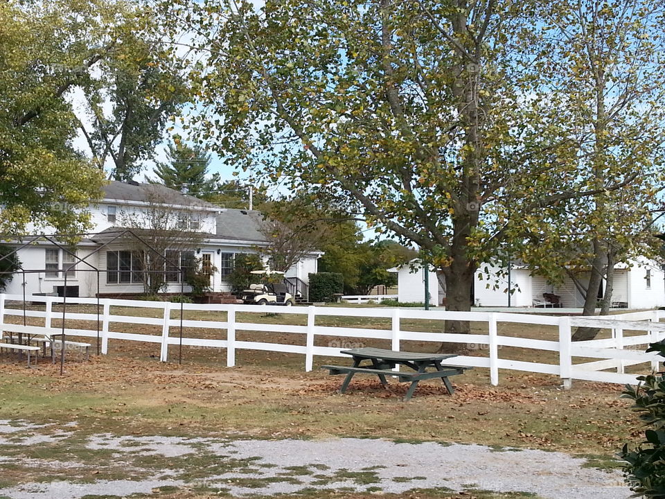 Fence, Tree, No Person, Wood, House