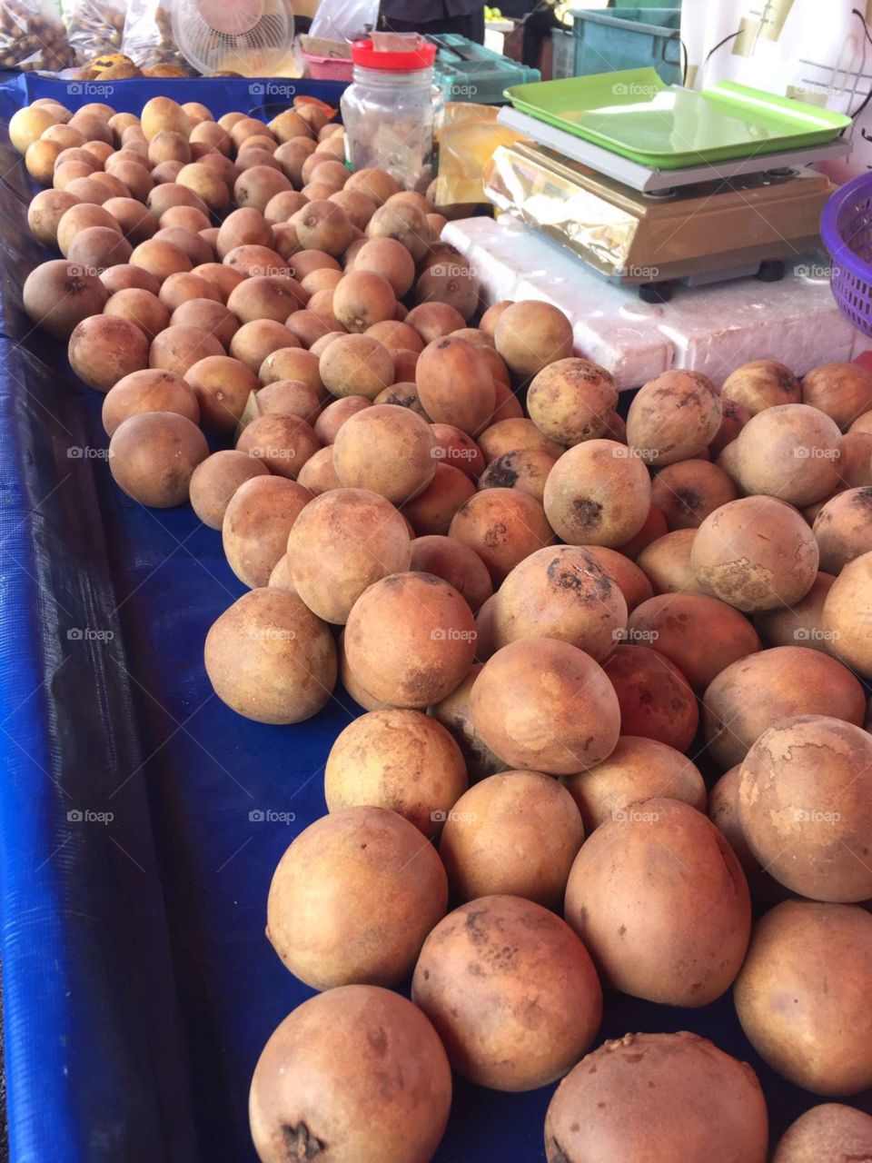 Baccaurea macrocarpa
