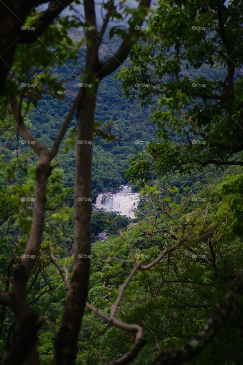 Indian monsoon