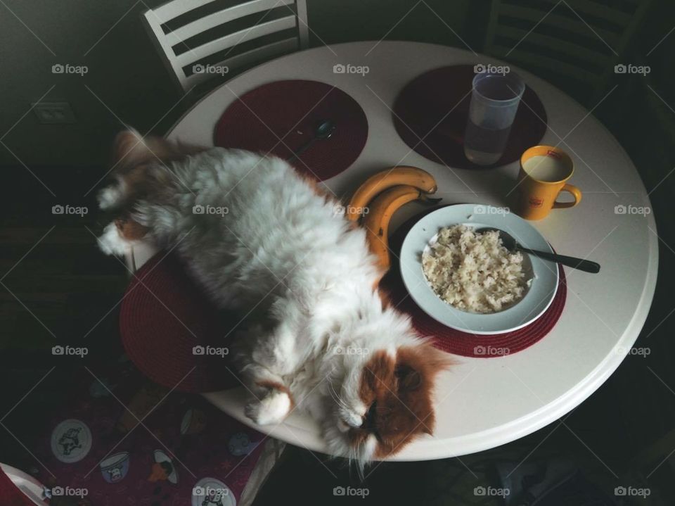 Breakfast