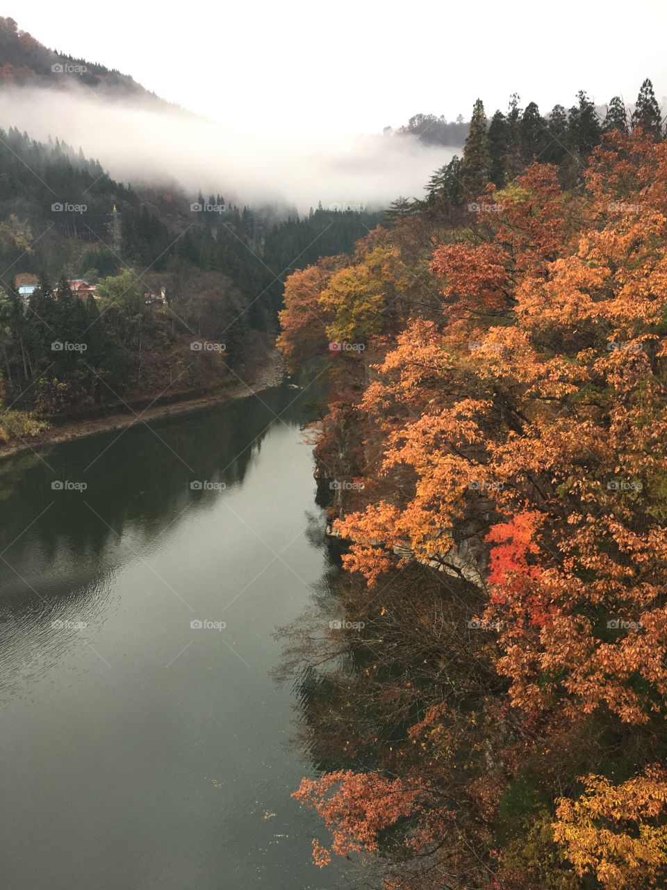 Autumn trees reflected on lake in winter